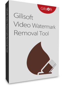 GiliSoft Video Watermark Removal Tool v9.3 With Crack [2022]