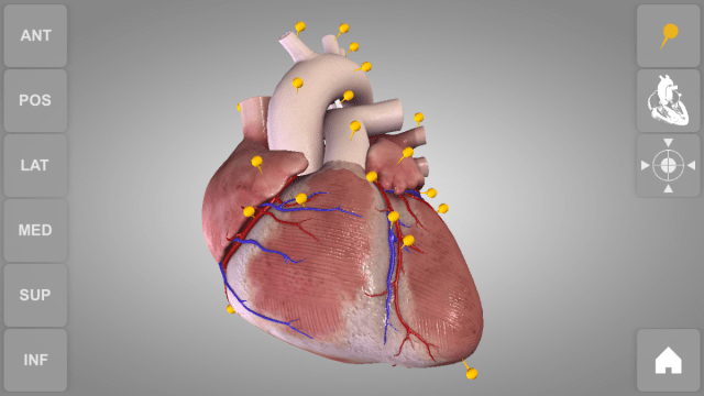 3D Anatomy IPA Cracked for IOS Download Free 2022